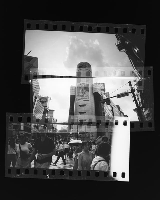 How a Simple “Why Not?” Opened the Door to a Three-Part World of Ideas