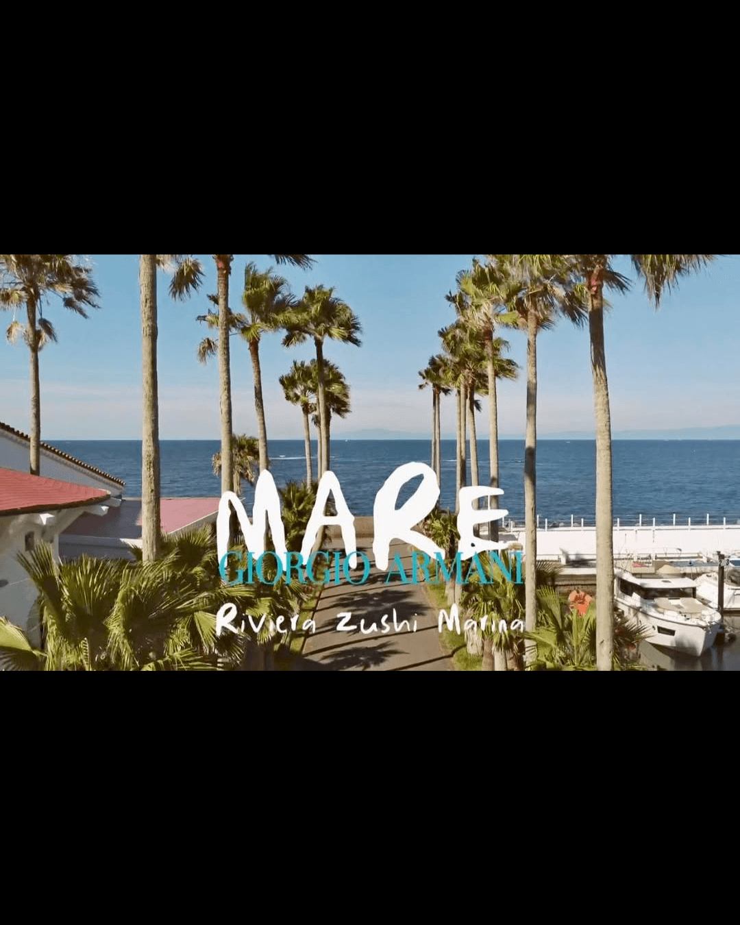 Journey to Japan and the Shift in Career