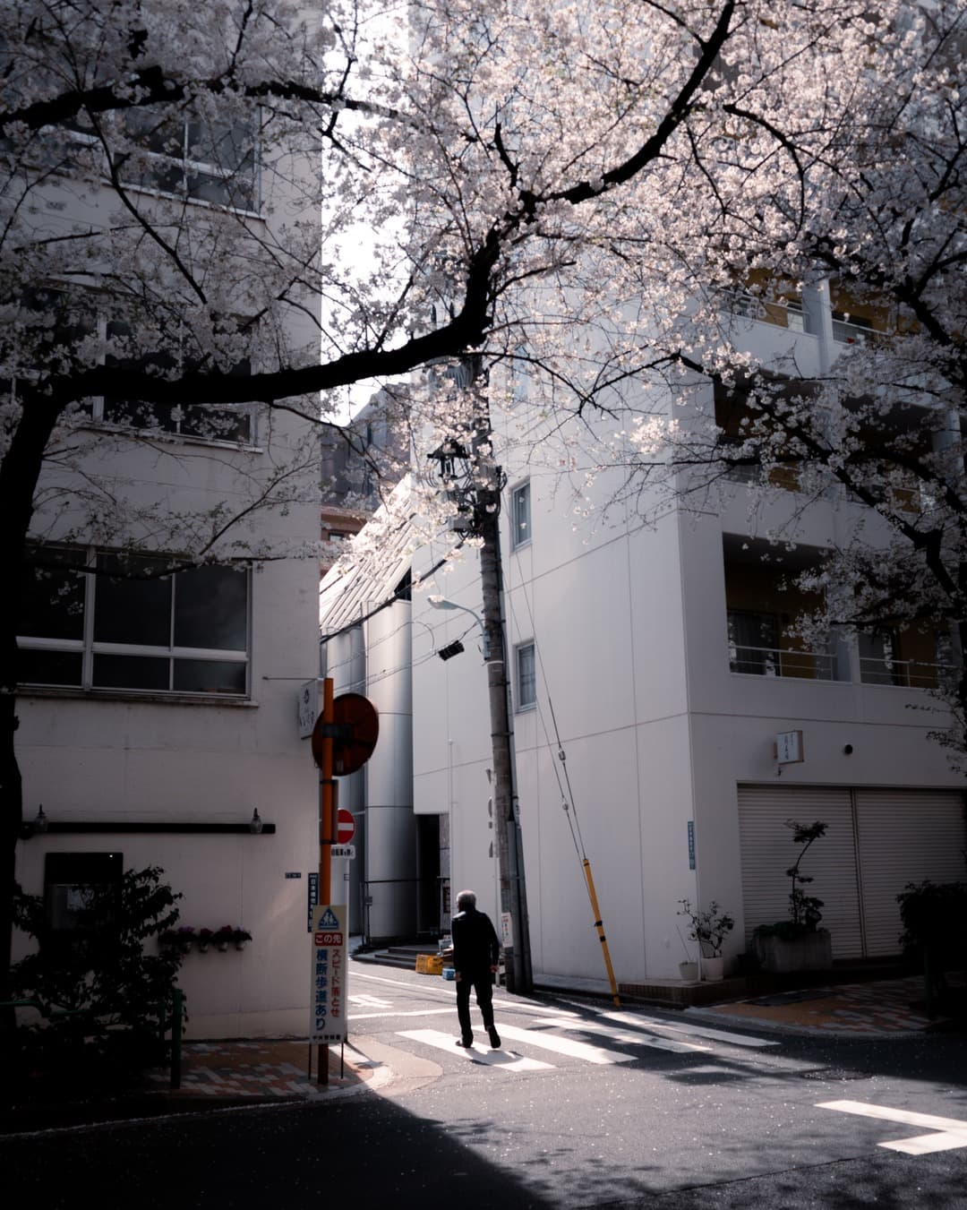 Joy and Struggle in Making：Capturing the moment when imagination meets reality