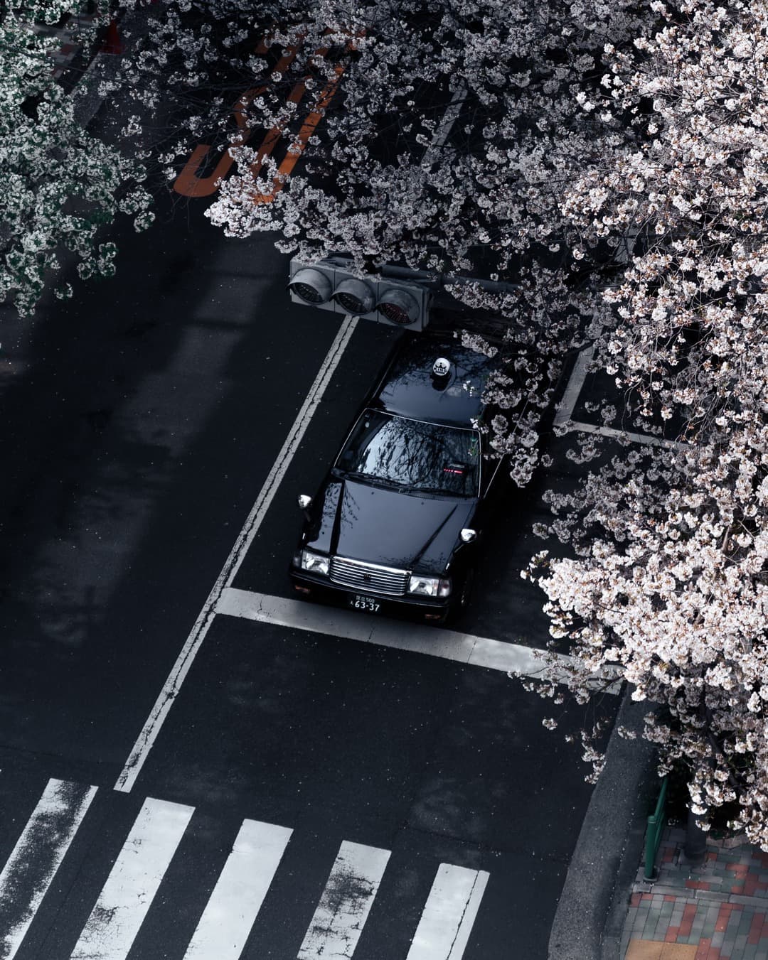 Defining Values：Discovering unseen forms of beauty